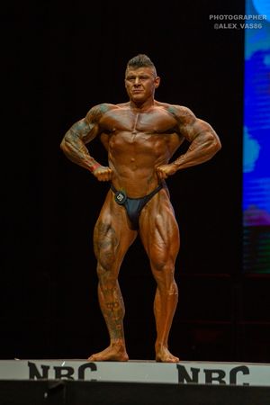 BODYBUILDING 102